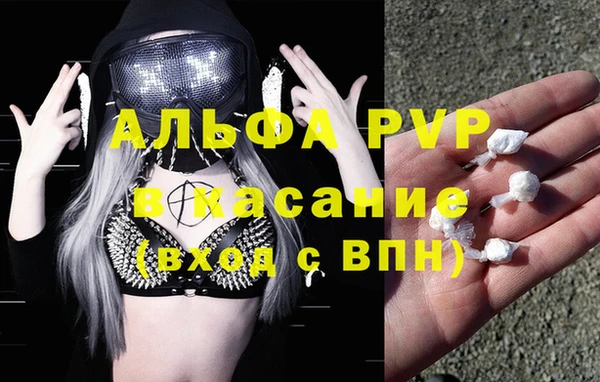 сатива Лихославль