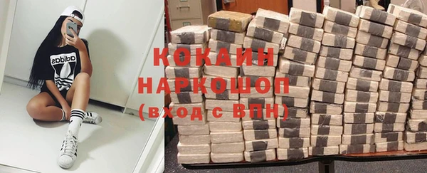 сатива Лихославль