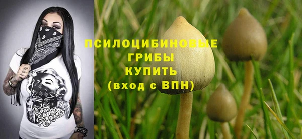 apvp Липки